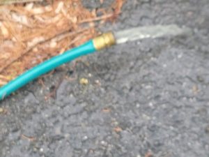 37774852_1653058305503