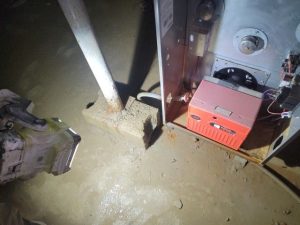 37774852_1653064256111